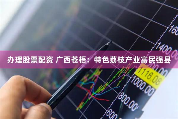 办理股票配资 广西苍梧：特色荔枝产业富民强县